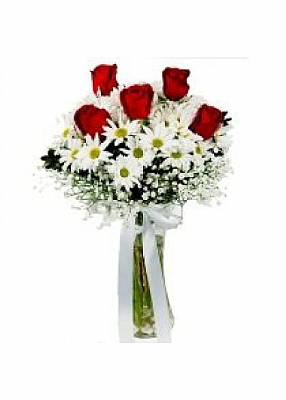 cam vazoda papatya gl arajman