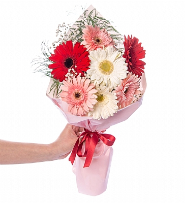 Pudra Bukette Krmz Pembe ve Beyaz Gerberalar